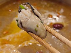 生蚝-金龙·打边炉(南京西路店)