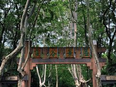 -灵谷景区