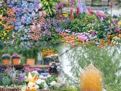 -武汉园博园(武汉自然博物馆)