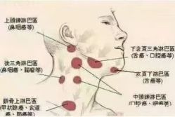 -香薇妮丝·定制减肥·身材管理