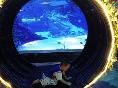 -沈阳海洋探索中心