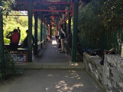 -宣武艺园