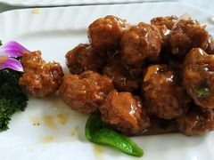 -宝发园名菜馆