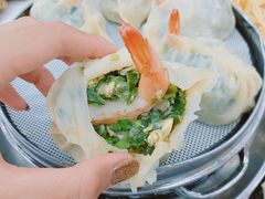 -烁佳海鲜大馅饺子