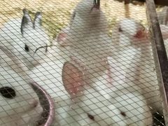 -正佳雨林生态植物园