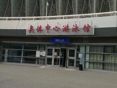 -奥体中心游泳馆