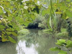 -同里国家湿地公园