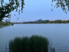 -羊山湖公园