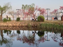 -无锡蠡湖国家湿地公园-蠡园