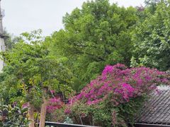 -院8里·少城记忆老川菜(宽窄巷子店)