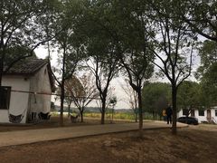 -武汉开心果园农业发展有限公司