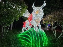 -南宫五洲植物乐园