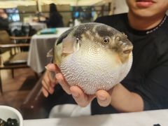 -肆月河豚·新淮扬(金融街店)