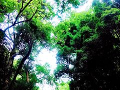 -灵谷景区