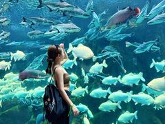 -波塞冬旅游度假区