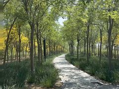 -天津东丽湖风景区