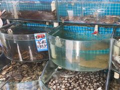 -仙螺岛海鲜自助餐厅(总店)