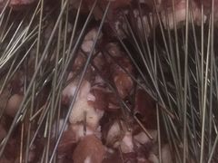 -永安烧烤