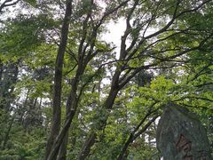 -庐山风景区花径公园