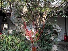 -西园戒幢律寺