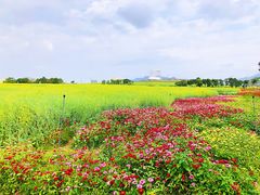 -光明小镇欢乐田园