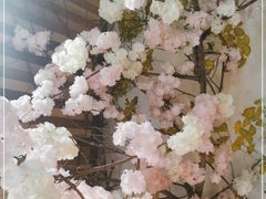 -渔太泰漓江小馆·广西融合菜(西街店)