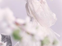 -花漫里照相馆(启迪店)