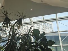 -大树餐厅(红旗街万达店)