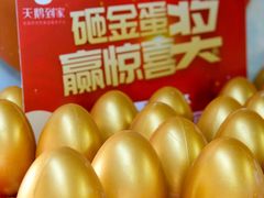 -天鹅到家·保姆月嫂育儿嫂(天河店)