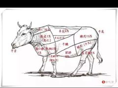 -蔡社牛肉城(龙湖店)