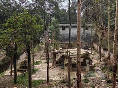-中国大熊猫保护研究中心雅安碧峰峡基地