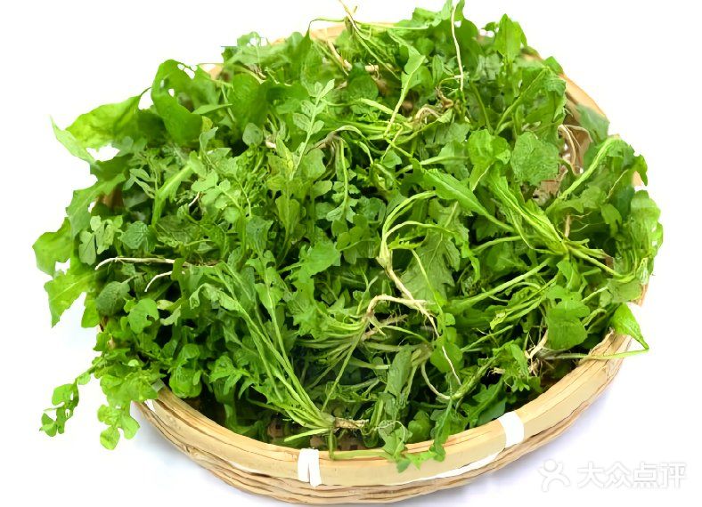 春天的时令野菜真鲜美，你最爱哪一款呢？