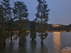 -顺峰山公园