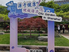 -嘉定紫藤园