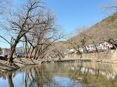 -鹿亭中村
