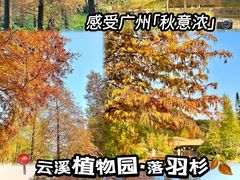 -云溪植物园