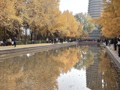 -玲珑塔公园