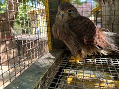 -石家庄市动物园