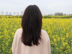 -光明小镇欢乐田园
