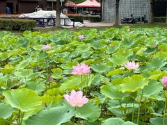 -滆湖低碳生态公园