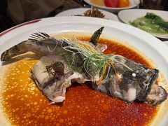 -顺鹅季·非遗烧鹅(六道口店)