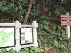 -广州市帽峰山景区
