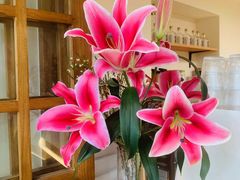 -本無咖啡·BeanWood Coffee