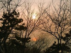 -青岛中山公园-索道售票处