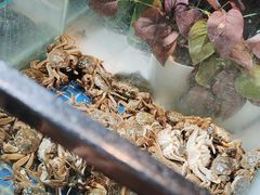 -鑫海汇海鲜烤肉自助(北国商城店)