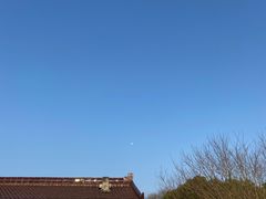 -天目湖刘老四农庄