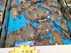 -渔港甄宴·海鲜·地标烟台菜(金沙滩店)