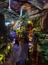 -恐龙探索乐园(磁器口店)