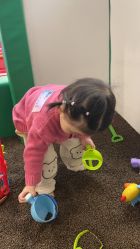 -孩子王童乐园(天津远洋乐堤港店)