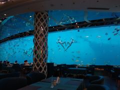 -瑞德姆美人鱼海底演艺主题餐厅(亚龙湾店)
